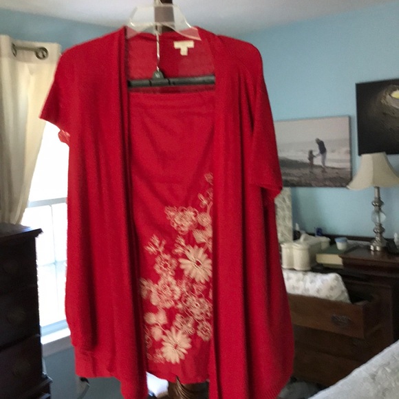 Talbots A line embroidered lined skirt in EUC. - Picture 3 of 5